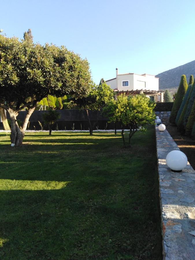 Golden Crest Villa Hersonissos  Exterior photo